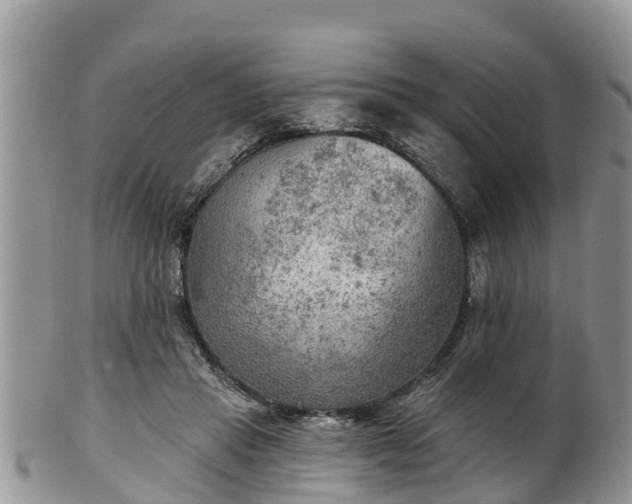 X0000102280453200808011454