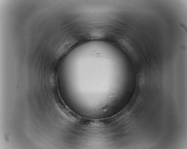 X0000102280455200808011454