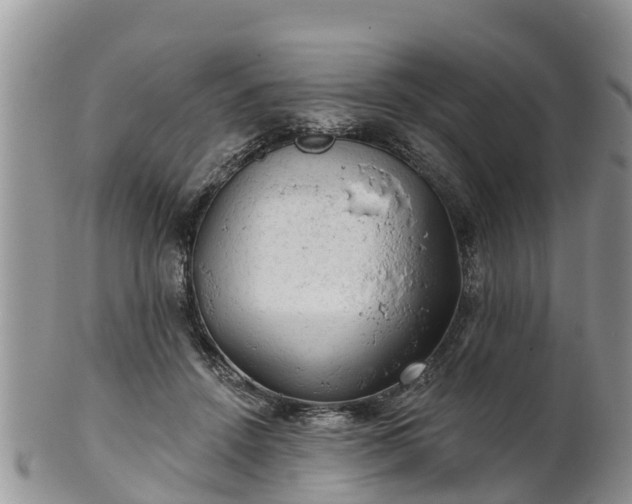 X0000102280456200808011454