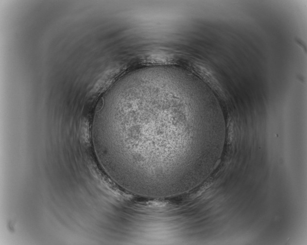 X0000102280457200808011454