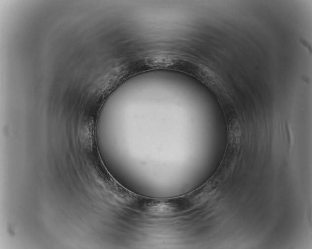 X0000102280460200808011454