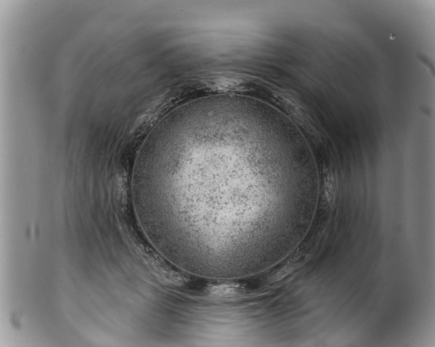 X0000102280461200808011454