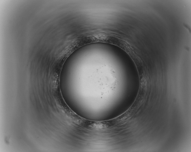 X0000102280464200808011454