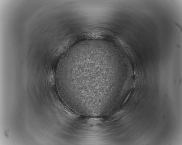 X0000102280465200808011454