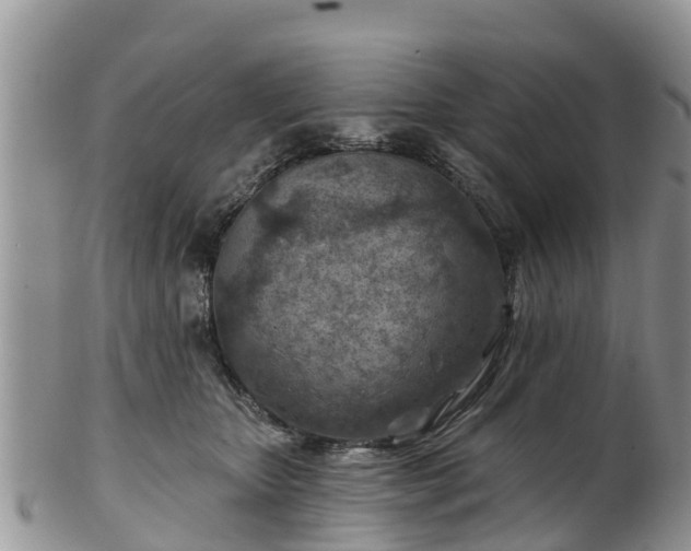 X0000102280467200808011454