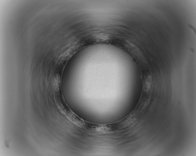 X0000102280468200808011454