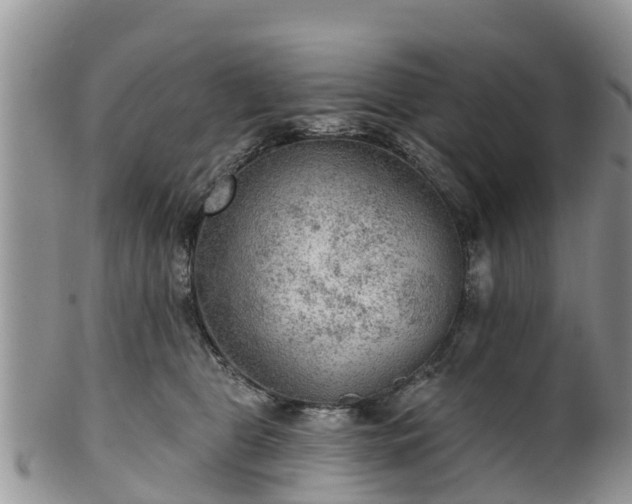 X0000102280469200808011454