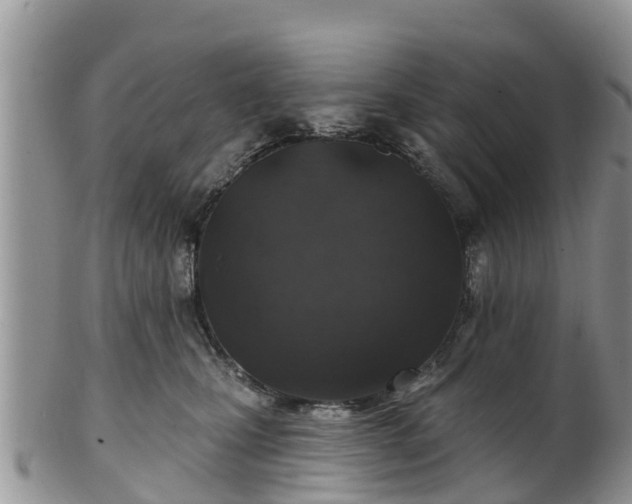 X0000102280471200808011454