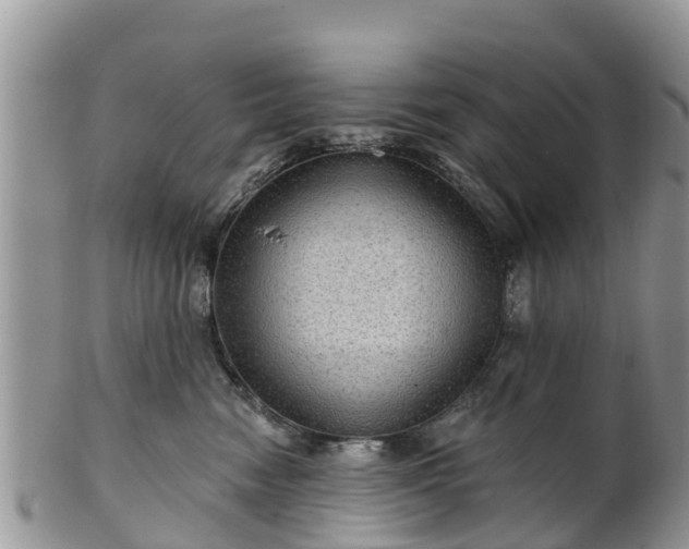 X0000102280474200808011454