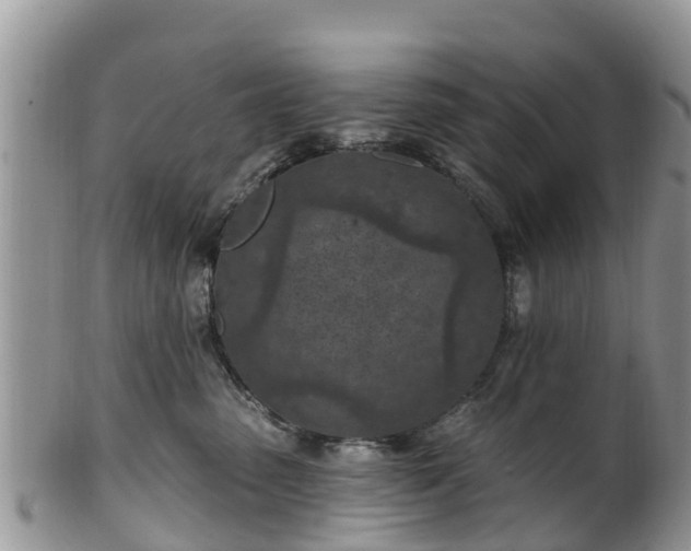 X0000102280475200808011454