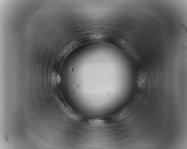 X0000102280476200808011454