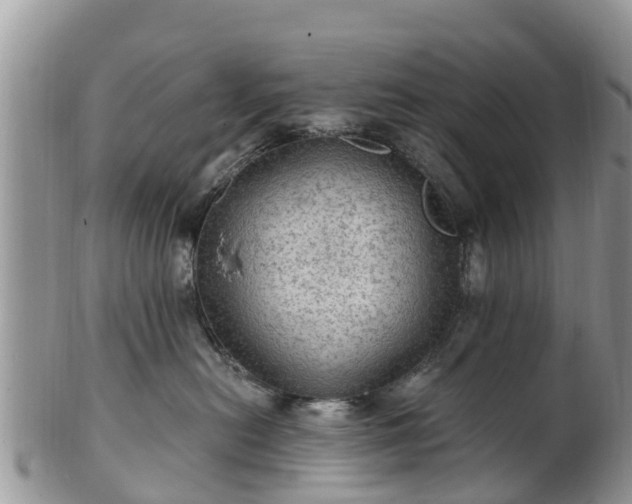 X0000102280478200808011454