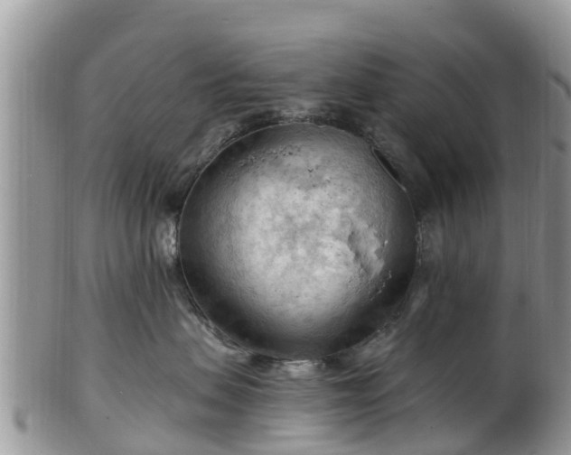 X0000102280479200808011454