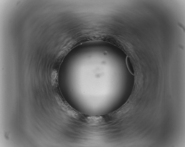 X0000102280480200808011454