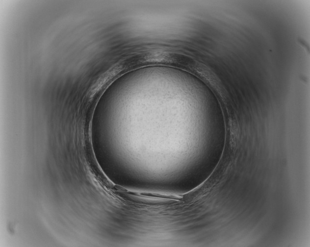 X0000102280482200808011454