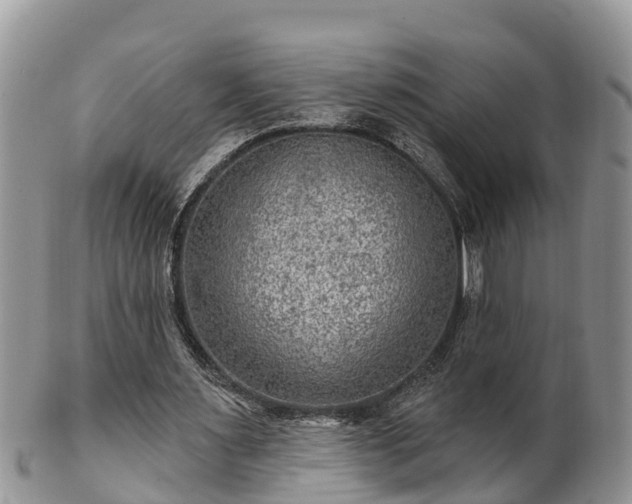 X0000102280483200808011454