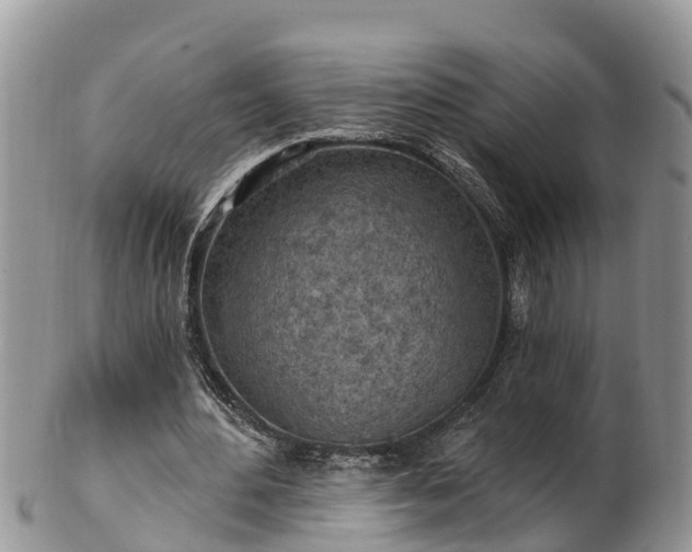 X0000102280484200808011454