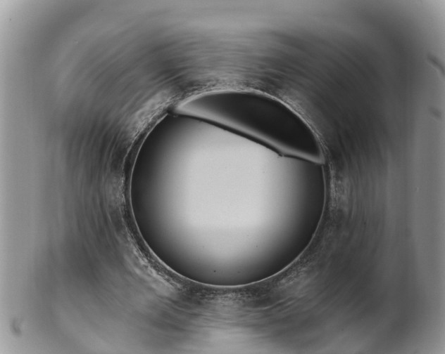 X0000102280485200808011454