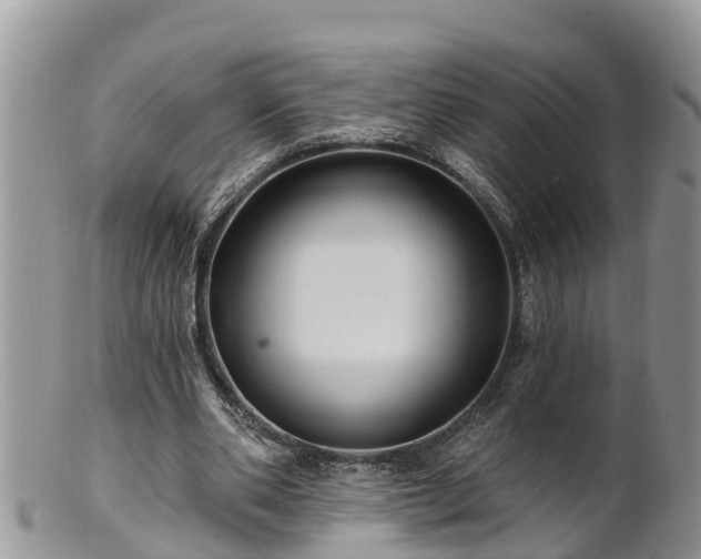 X0000102280486200808011453