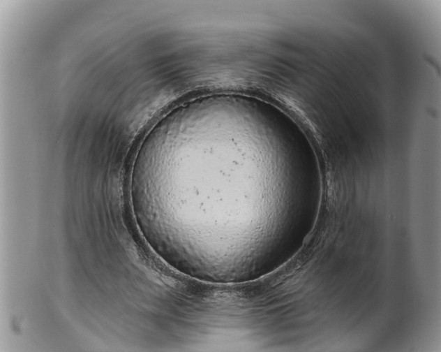 X0000102280487200808011453