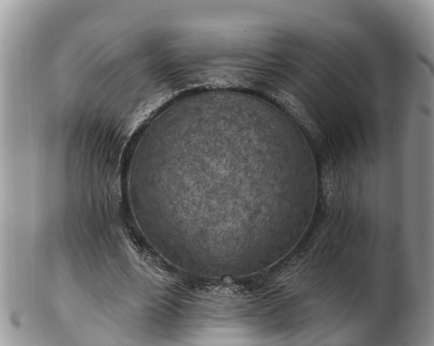 X0000102280488200808011453