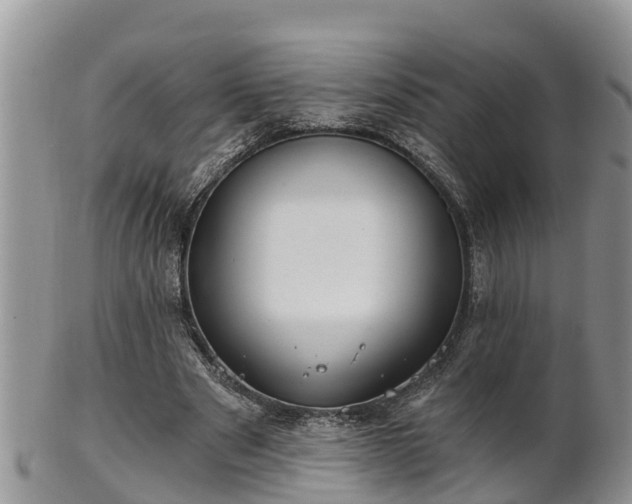 X0000102280489200808011453