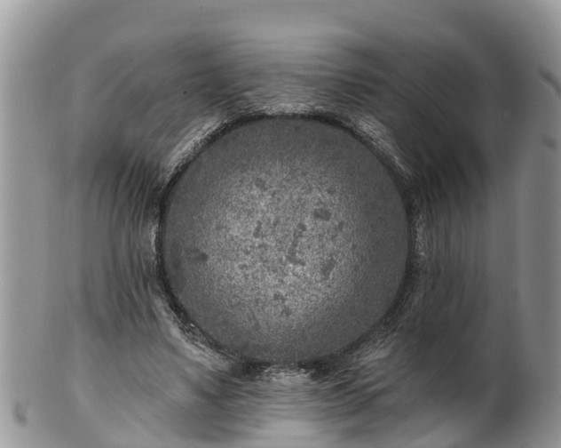 X0000102280491200808011453