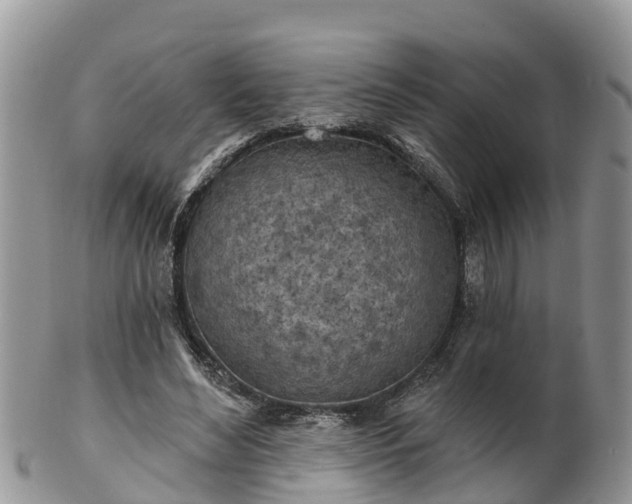 X0000102280492200808011453