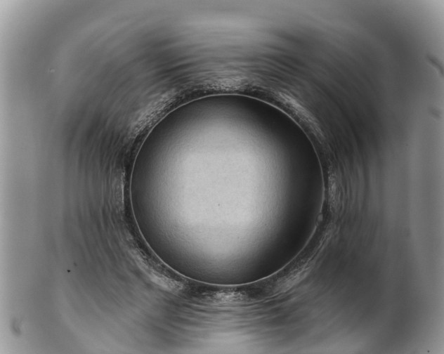 X0000102280493200808011453