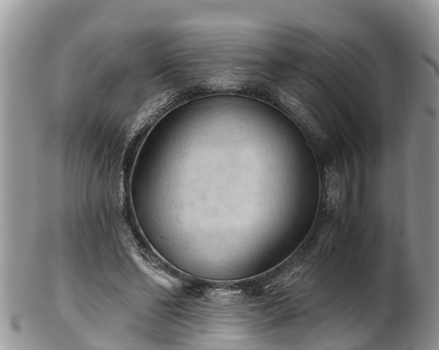 X0000102280494200808011453