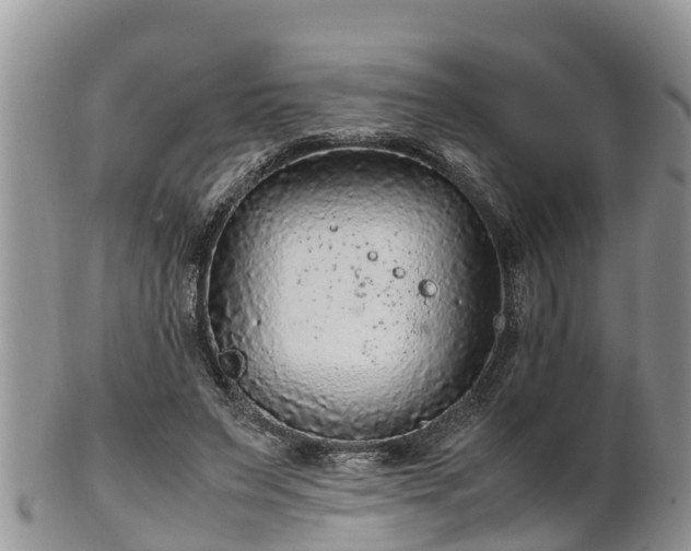 X0000102280495200808011453