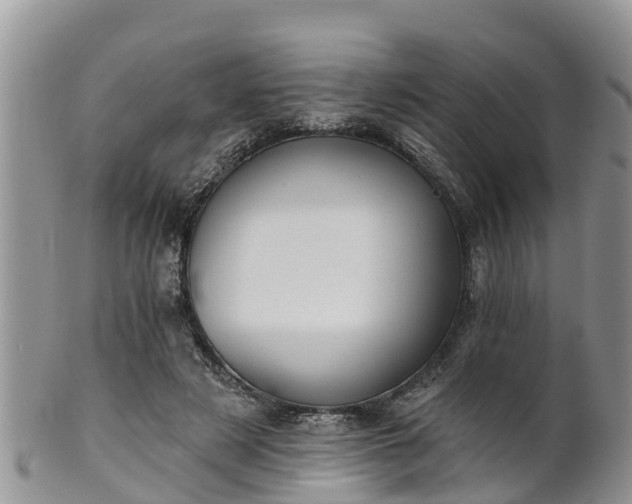 X0000102280497200808011453