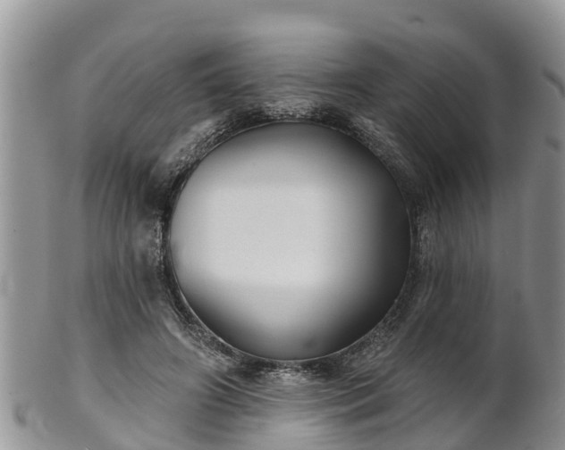 X0000102280498200808011453