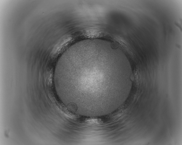 X0000102280499200808011453