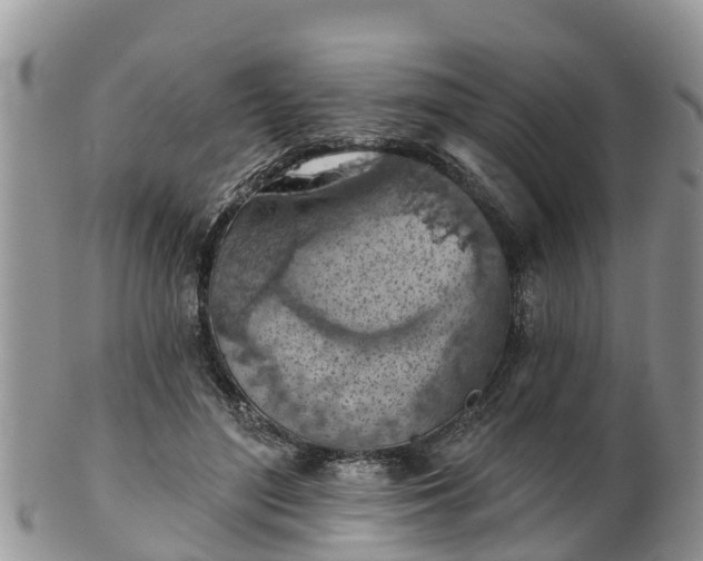 X0000102280500200808011453