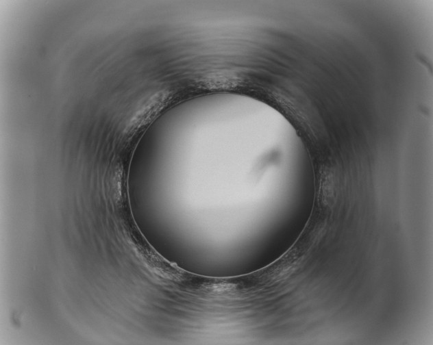 X0000102280501200808011453