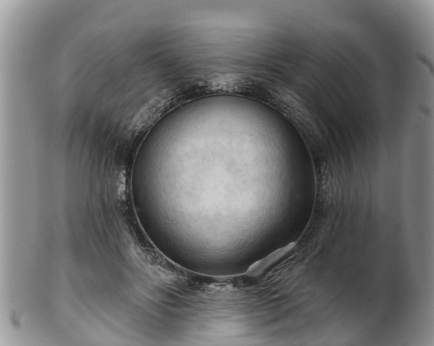 X0000102280502200808011453