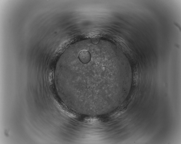 X0000102280503200808011453