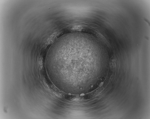 X0000102280504200808011453