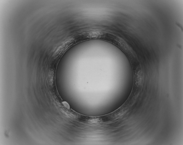 X0000102280505200808011453