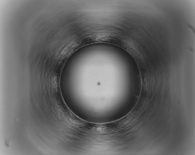 X0000102280506200808011453