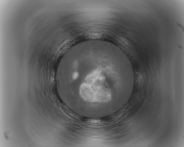 X0000102280507200808011453