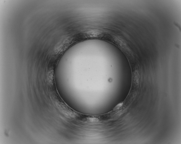 X0000102280509200808011453