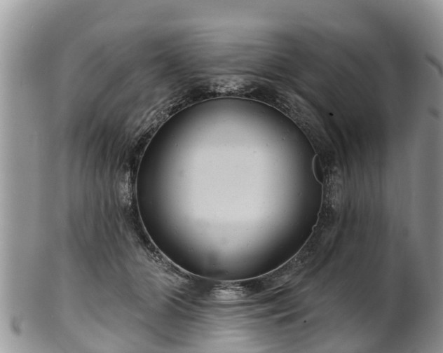 X0000102280510200808011453