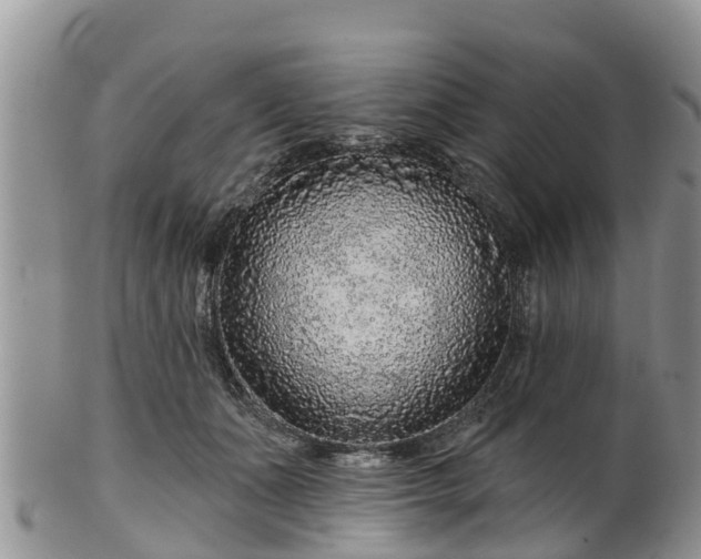 X0000102280511200808011453