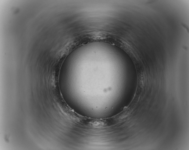 X0000102280512200808011453