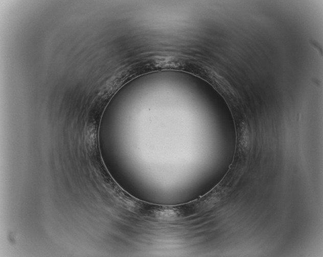 X0000102280513200808011453