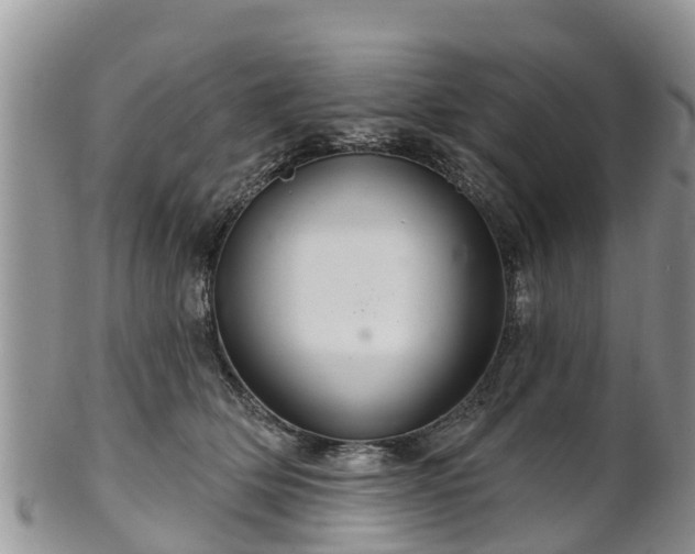 X0000102280514200808011453