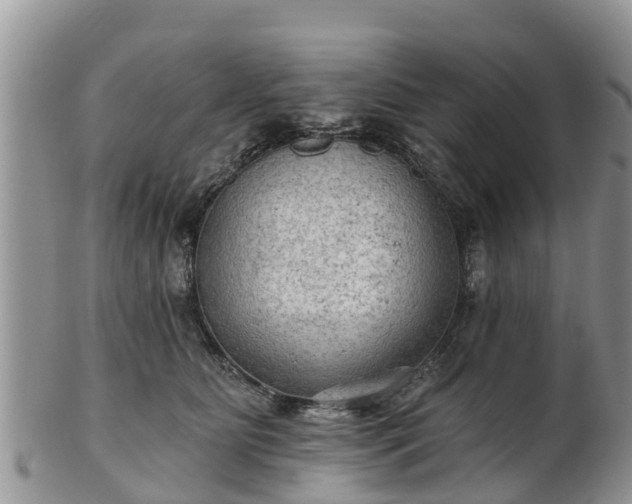 X0000102280515200808011453