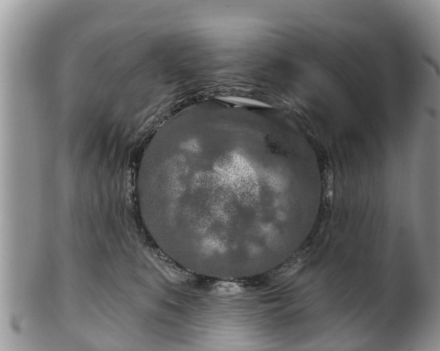 X0000102280519200808011453